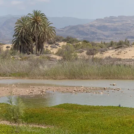 Aries Maspalomas (Gran Canaria)